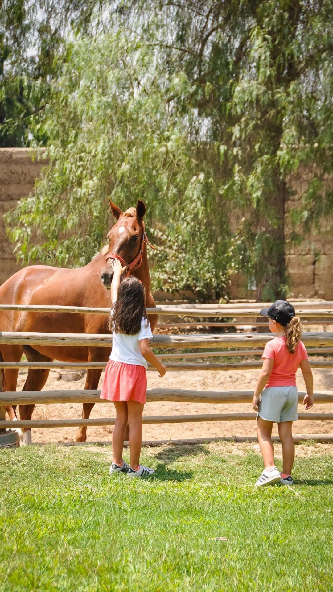 ホテル Casa Hacienda San Jose チンチャ・アルタ エクステリア 写真